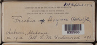 Image Associated With the Occurence